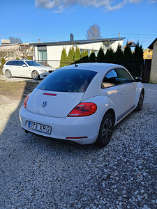 Volkswagen Beetle (3 foto / 7)