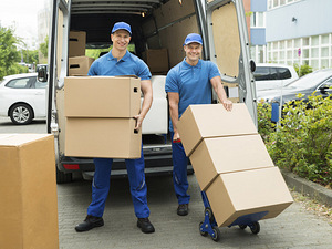 Transport, kolimisteenused, utiliseerimine, laadijad 24/7 (6 foto / 10)