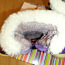 Зимние сапоги, 25 размер (фото #4)