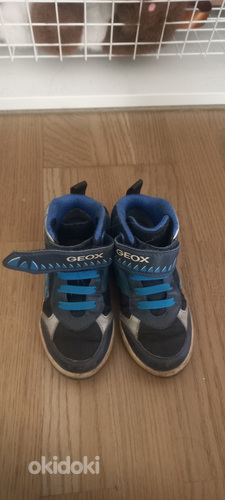 Geox k/s poolsaapad