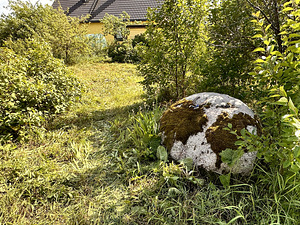 Gerbera tee 3, Türisalu, Harku vald, Harjumaa (9 foto / 12)