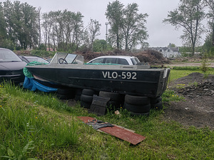 Paad Amur (2 foto / 4)