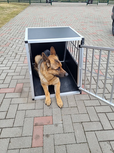 Koera puur (3 foto / 4)