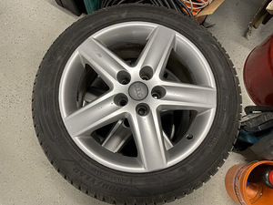 Audi veljed R17 koos uue rehvidega (1 foto / 5)