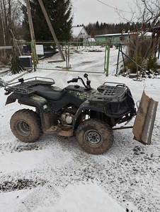 Linkoln 250 ATV (6 фото из 10)