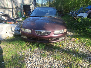 Xedos 6 tervikuna või juppideks (1 foto / 9)
