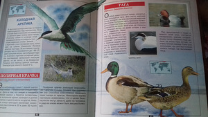 Uus raamat (2 foto / 3)