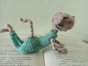 Amigurumi. Interjöörimänguasi. (3 foto / 6)