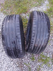 Летние шины R17/55/215 Goodyear Efficient (1 фото из 5)