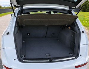 Audi SQ5 (13 foto / 14)