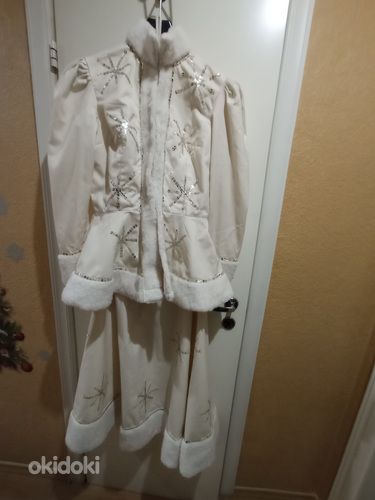 Snow Maideni ülikond (foto #2)