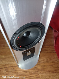 Piega Switzerland P4 XL High-End Kõlarid / põrandakõlarid (5 foto / 6)
