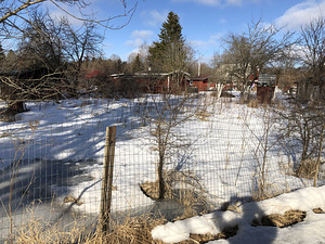 Vasalemma kool, Lemmaru, Lääne-Harju vald, Harjumaa (4 фото из 10)