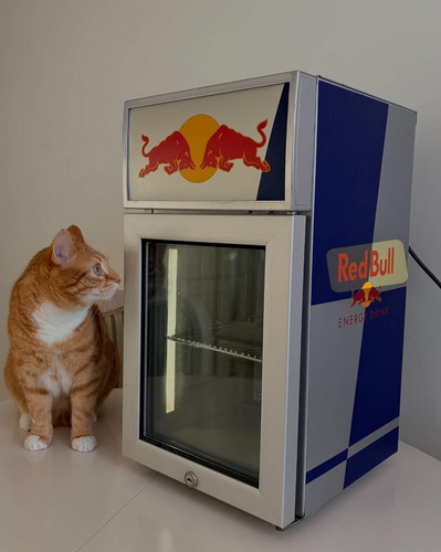 Red bull külmik