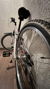 BOTTECCHIA BOSS 488, 24” (4 foto / 9)