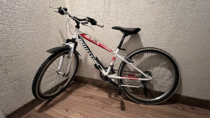 BOTTECCHIA BOSS 488, 24” (6 foto / 9)