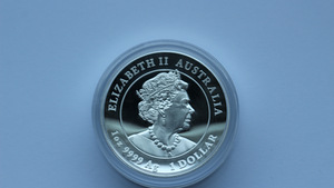 1 unts hõbedat 999 Lunar 2023 kõrge reljeef proof. (6 foto / 7)