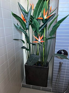 Korteri mööbli tühjendus müük (6 foto / 10)