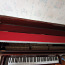 Klaver - tasuta (foto #2)