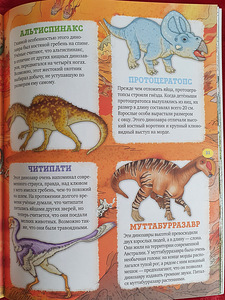 Kleebistega wimmelbuch Dinosaurused / lasteraamatud (2 foto / 8)