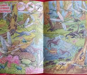 Kleebistega wimmelbuch Dinosaurused / lasteraamatud (6 foto / 8)