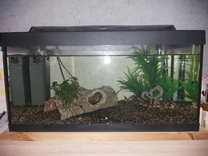 Tetra akvaarium 55l (2 foto / 7)
