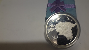 Hõbemedal (2 foto / 5)