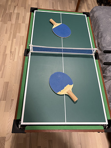 Laste Multifunktsionaalne mängulaud 9-1 (6 foto / 10)