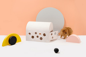 Дизайнерский домик для маленьких собак и кошек