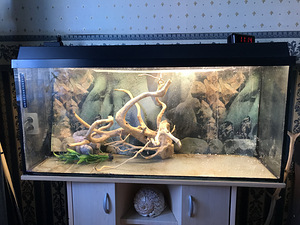 Terraarium eksootiliste loomade jaoks (2 foto / 2)