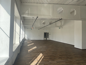 Kopli tn 27, Põhja-Tallinna, Tallinn, Harjumaa (3 foto / 15)