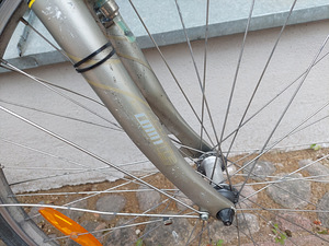 Schwinn Voyageur GS naiste hübriidratas + lastetool (9 foto / 9)