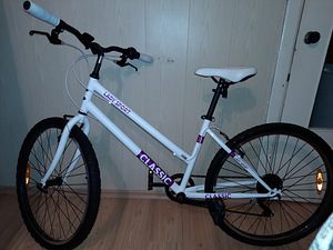 Lady Sport 10 Classic jalgratas (1 foto / 1)