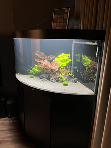 Akvaarium Juwel Trigon 350 LED koos tehnikaga -60%! UUS HIND