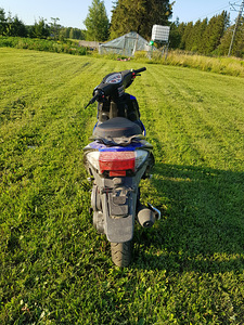 Скутер A9 50cc (6 фото из 9)