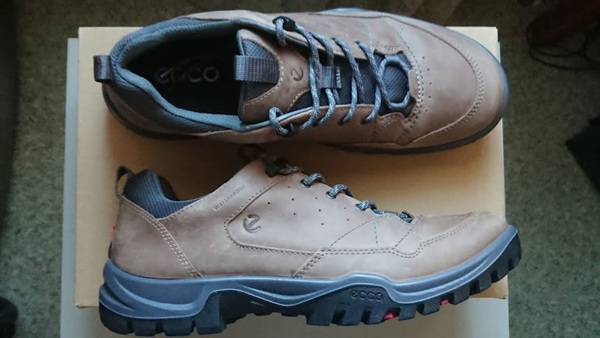 ECCO 44