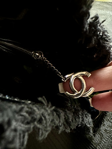 Chanel eriline kott. Uus! (3 foto / 6)