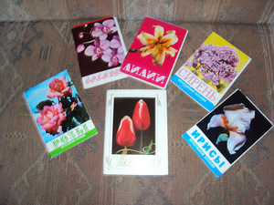Postkaartide kollektsioon (3 foto / 3)