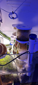 Mereakvaarium 600l (6 foto / 8)