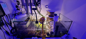 Mereakvaarium 600l (8 foto / 8)