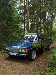 Vahetada Mercedes Benz W123 (1 foto / 9)