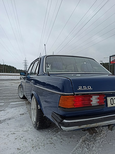 Vahetada Mercedes Benz W123 (6 foto / 9)