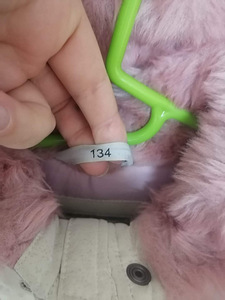 Lenne 134 ja Kuoma 32 (2 foto / 3)