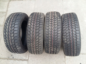 M+S / AASTARINGSED REHVID / 205 60 R17 / BRIDGESTONE (1 foto / 1)