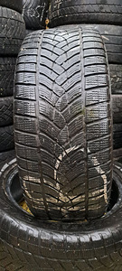 TALVEREHVID / M+S / 255 50 R19 / GOODYEAR (1 foto / 1)