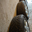 5*112 r17 + continental ice contact2 2 235/70 (фото #2)