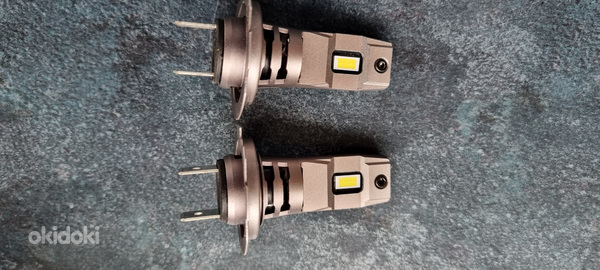 LED pirnid