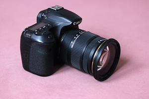 Canon EOS 60D + Sigma 17-50mm f/2.8 (5 foto / 5)