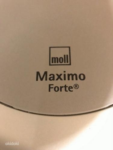 Детский качественный стул Moll/Maximo Forte (производство Ге (фото #5)