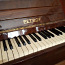 Uus pianiino Petrof (foto #1)
